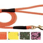 Mendota Snap Lead