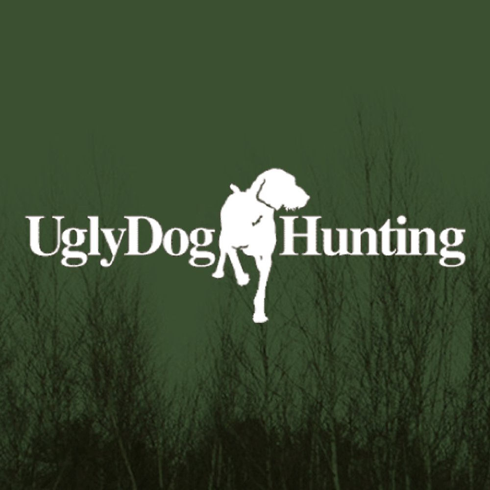 hunting dog apparel