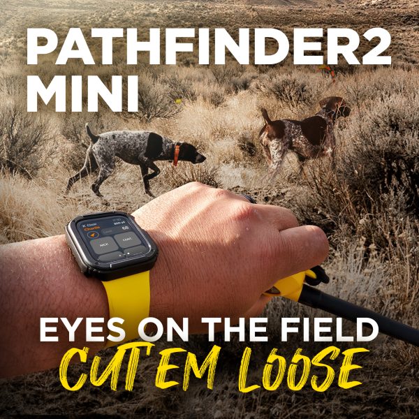 PATHFINDER2 MINI