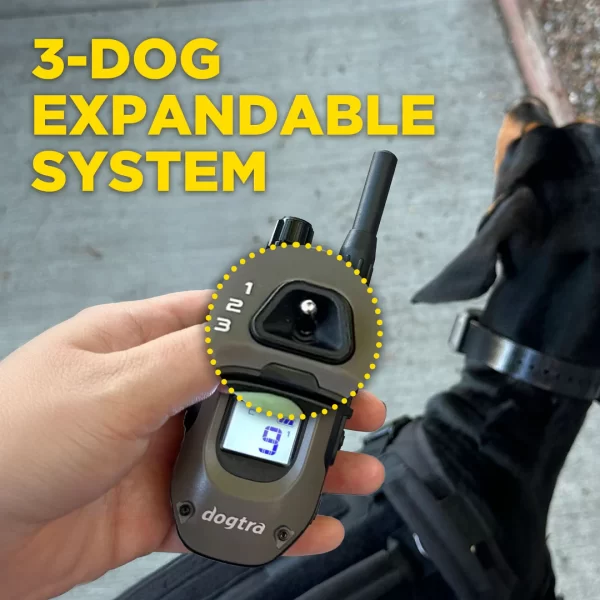 Dogtra 1900x