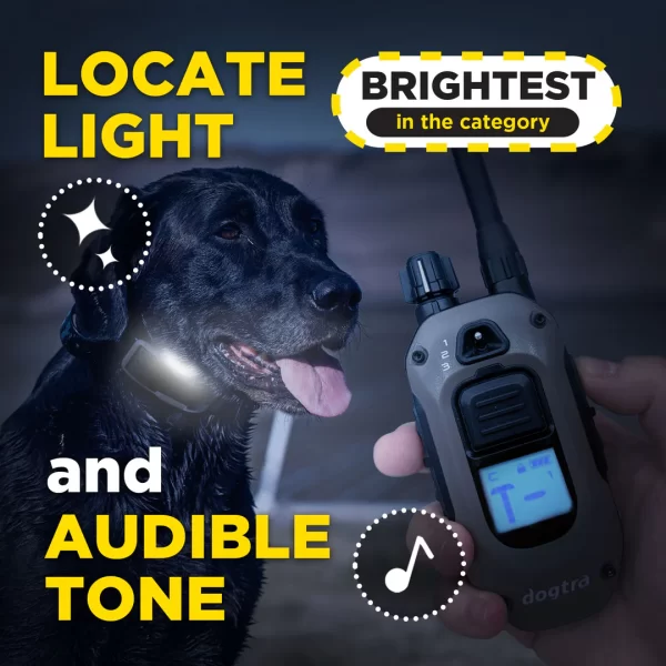 Dogtra 1900x