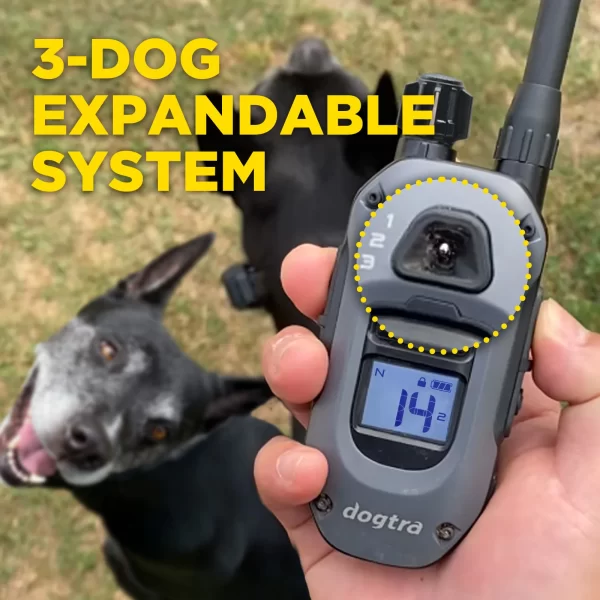 Dogtra 280x