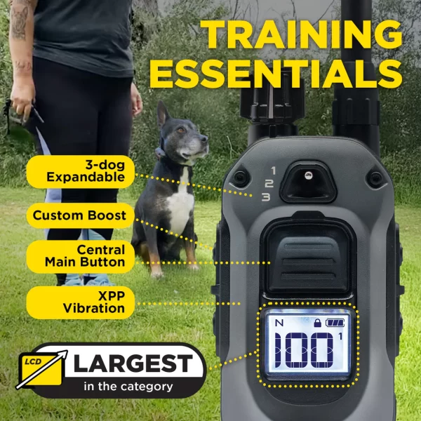Dogtra 280x