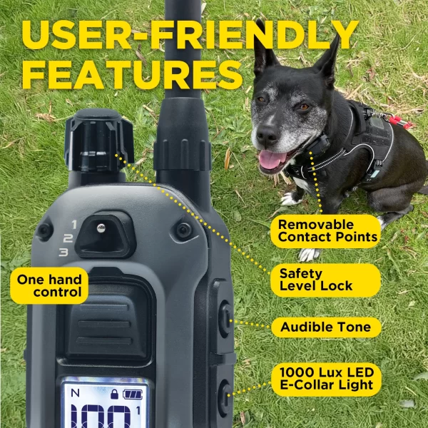 Dogtra 280x