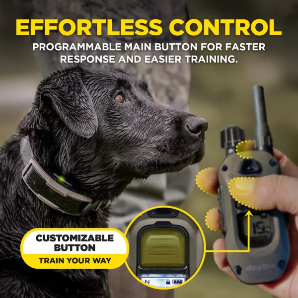 Dogtra 1900x