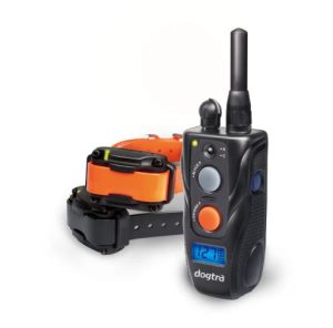 Dogtra 282C Two-Dog E-Collar System - Ultra-Compact for Small Dogs - Main