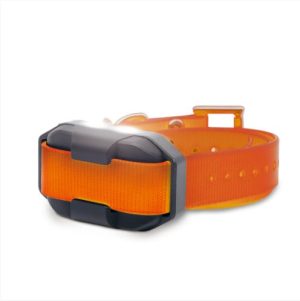 Dogtra EDGE2 Additional Receiver - Main